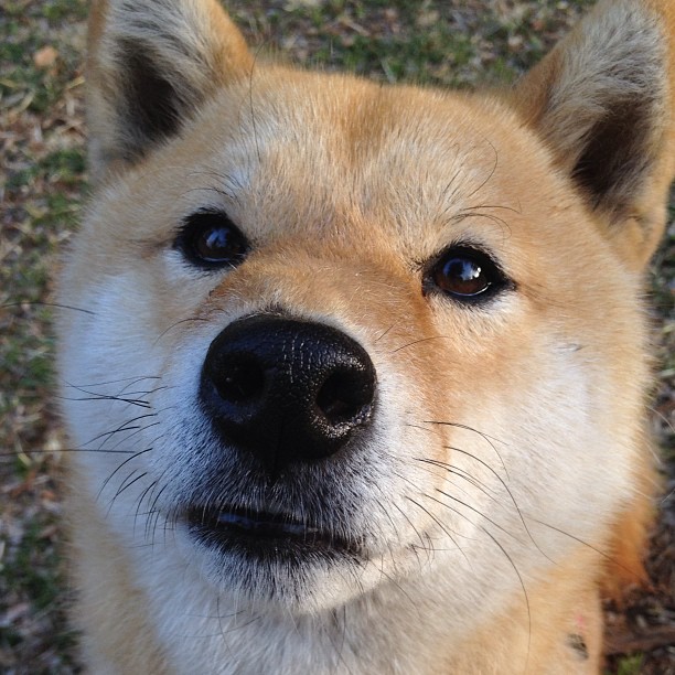 “青训营吸引全国青少年，激发更高水平训练”，青训营百度百科